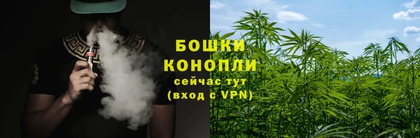 дживик Зерноград