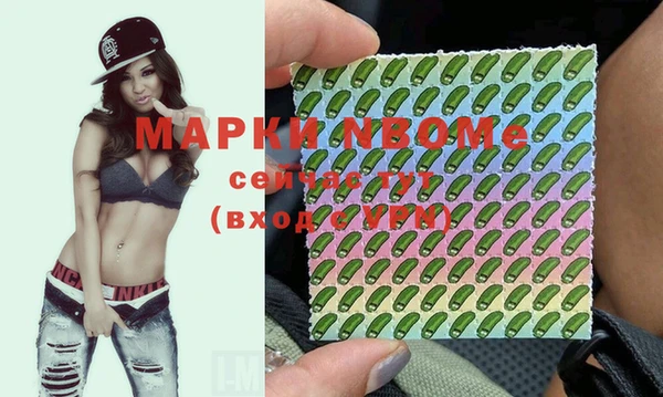 a pvp Инсар