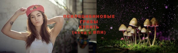 дживик Зерноград
