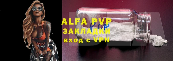 дживик Зерноград