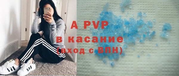 стафф Иннополис