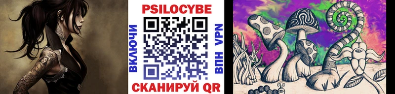 Купить  Качканар  Галлюциногенные грибы MAGIC MUSHROOMS 